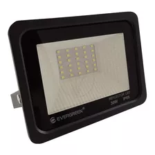 Reflector Led 30w Luz Blanca Color De La Carcasa Negro Color De La Luz Blanco Frío 110v/240v