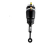Bolsa Aire Suspension Trasera Ford Expedition 4x2 2001 &
