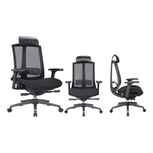 Silla Oficina Ergonómica Giratoria Brazos Ajustable Livio