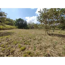 Vendo 1000mts2 Carrizal Arraiján Nvo Emperador Negociable