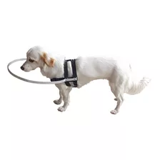 Coleira Guia Cão Cego Peitoral Cães De 8 A 20kg M Leia Anunc