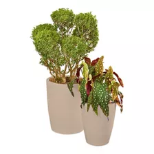 Jogo De 2 Vaso De Plantas Variados Flores Jardim Cd10 Cor Areia Rose