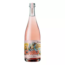 Vino Galileo Pet Nat Chardonnay Pinot