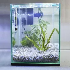 Aquário 10l Quili Classic Nano + Luminária + Decoração