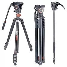 Cayer Fp2450 Fluid Head TriPod, 75 Inches Aluminium TriPod,