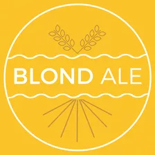 Kit Insumos Cerveza Artesanal Blond Ale X 20 Lts