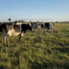 Chacra De 5 Hectareas En San Jose Proximo A Ruta 3