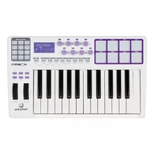 Controlador Midi Waldman Carbon 25 Usb/midi 25 Teclas C Pads