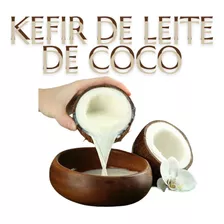Kefir Vegano De Leite De Coco Iogurte Natural Vegetal