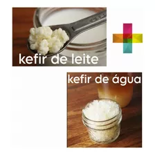 Kefir De Leite E De Água Com Manual