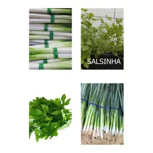 200 Sementes De Cheiro Verde: Cebolinha + Salsinha 