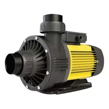 Bomba Centrífuga Autoaspirante Monofásica Elektrim Sp Sp300 3hp Color Negro/amarillo 50hz 220v