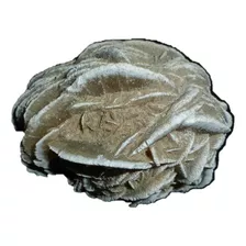 Mineral De Colección Piedra Rosa Del Desierto Individual