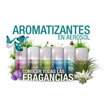 Aromatizadores -aerosoles New Scent X 12 Uds