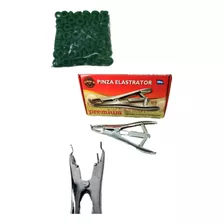 Pinza Elastrator Primor + 100 Anillos Para Castrar Y Desc