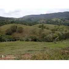 Venta De Finca En Santander Charala Negociable