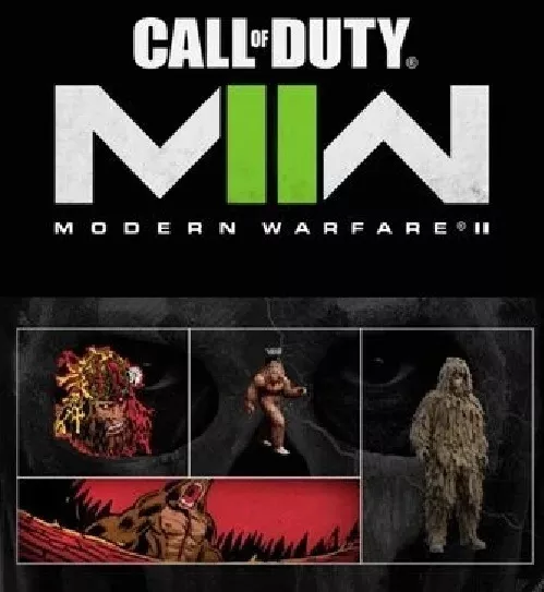 Call Of Duty Mw2 Skin Pé Grande (rara)