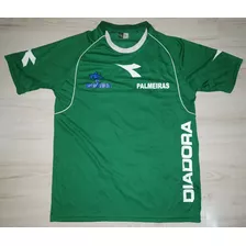 Rara Camisa De Jogo Do Palmeiras Showbol Diadora 2009 #11 