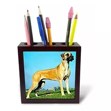 Great Dane - Portalápices Para Azulejos, 5 Pulgadas (ph 482 