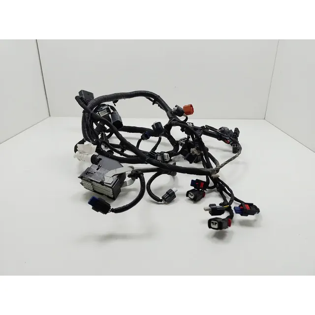 Chicote Do Motor Injeção Ford Ecosport 1.5 2020 8