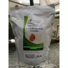 Semilla De Jicama De Agua Bolsa De 1 Kg 