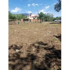 Vendo Finquitas De 1,000 Metros En Adelante, Ubicada En Los Altos De Sabana Piedra, Municipio De Villa Altagracia, República Dominicana