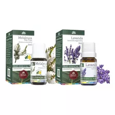 Kit Óleo Essencial Lavanda E Melaleuca (tea Tree) Wnf