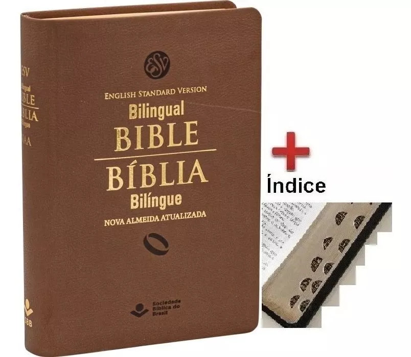 Bíblia Bilíngue Português / Ínglês Capa Luxo 