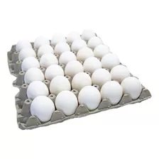 Huevo Fertil