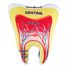 Almofada Dente Anatomia / Com O Nome Da Sua Clínica No Verso