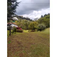 Venta Finca San Antonio De Pereira Sector Ojo De Agua 