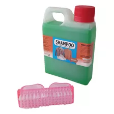 Champú Kit Limpieza Gamuza Cepillo + Champú 