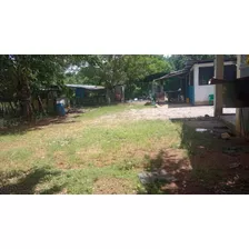 Vendo Esta Finca De 40 Tareas En Bayaguana De Monte Plata