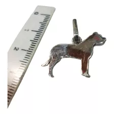 Medalla Chapa Perros Mascota Chapita