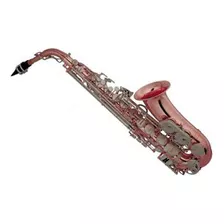 Sax Alto Hoyden Has50gb Mib Gold Bronze