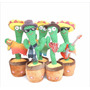 Segunda imagen para búsqueda de cactus bailarin