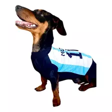 Camiseta Seleccion Argentina Para Perros - Talle Xxxxl