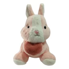 Peluche De Conejo Con Corazón 