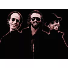 The Bee Gees: Discografía Completa En Digital 320 [pop]