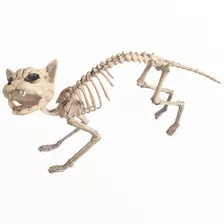 Cat Skeleton Esqueleto De Gato Decorativo 68 Cm. Hallowen 