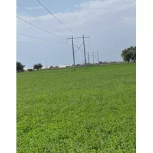 Rancho En Venta Con 90 Hectáreas San Luis De La Paz Gto