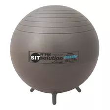 Champion Sports Brt65wl Maxafe® - Pelota De Asiento Con Pa.