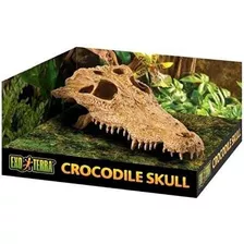 Exo Terra Terrarium Decorativo Crocodile Skull Reptiles