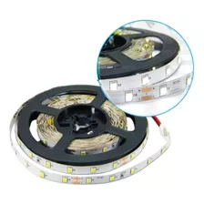 Tira Led 2835 60 Led/m Ip20 Mayorled 