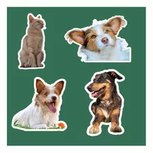 Sticker De Tus Mascotas