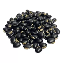 Mucuna Preta / Mucuna Pruriens - 5 Kg Sementes Para Plantio