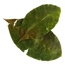 Hoja Coca Caquetá X 125 Grs.