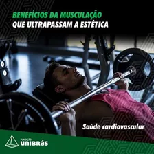 Planilha Treino Musculação 