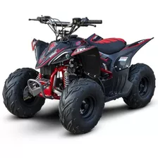 Mini Quadriciclo Rhino 110cc 4 Tempos Partida Elétrica 