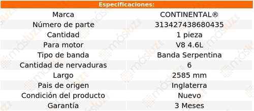 Banda 2585 Mm Acc Explorer Sport Trac V8 4.6l 08 Continental Foto 5